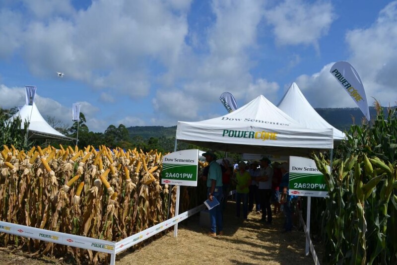 Dia de Campo Cravil reúne cerca de 2.500 pessoas-46.jpg