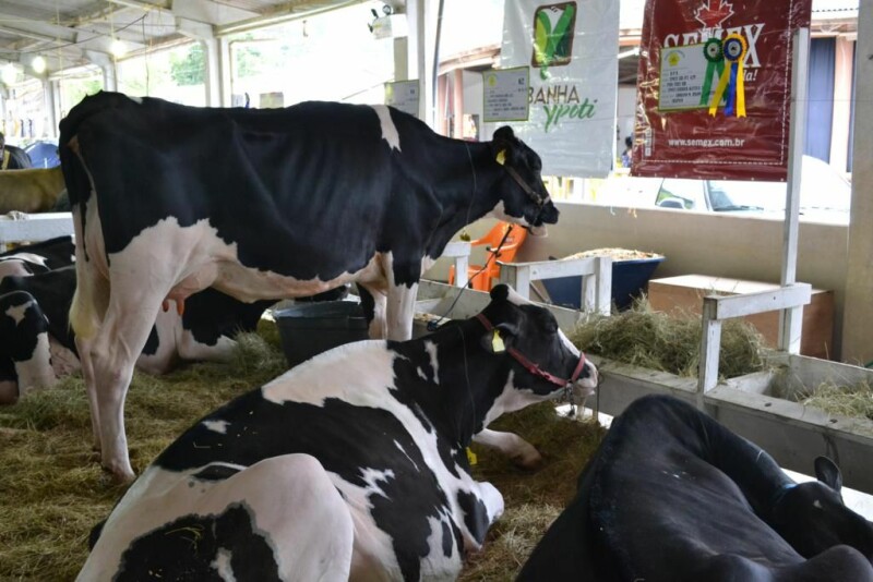 Cravil é parceira da 20ª Expofeira Estadual do Leite-76.jpg