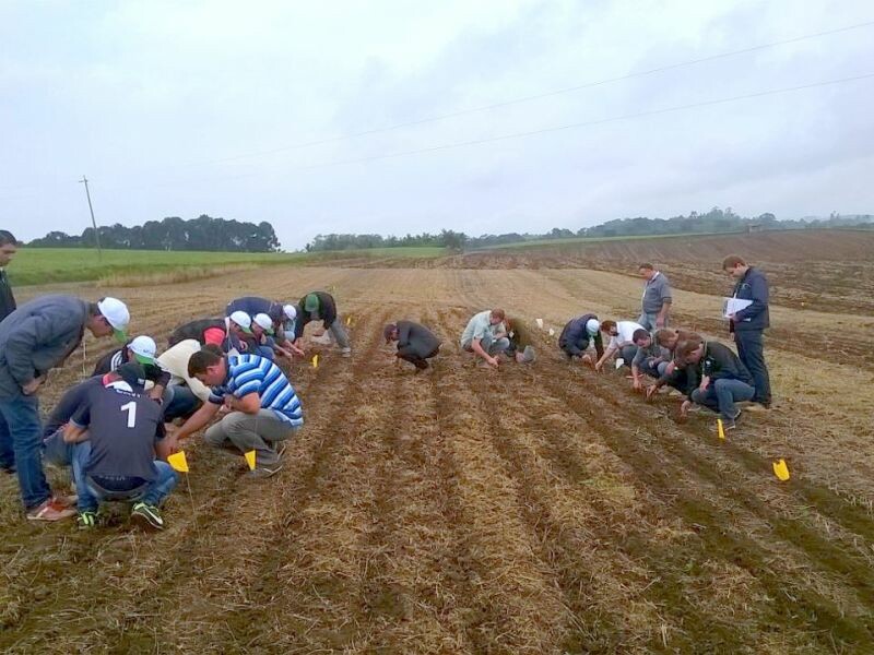 De olho no plantio da nova safra-2.jpeg