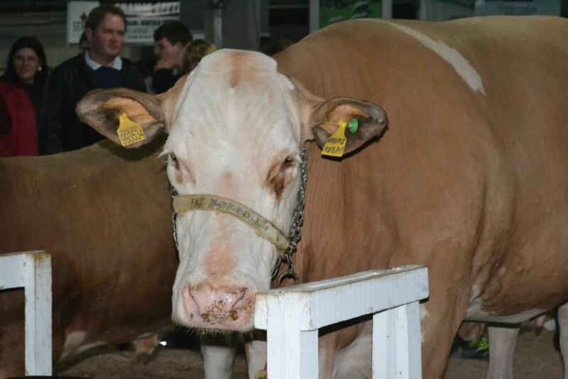 Cravil é parceira da 20ª Expofeira Estadual do Leite-38.jpg