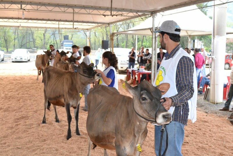 22ª Expofeira Estadual do Leite-86.jpg