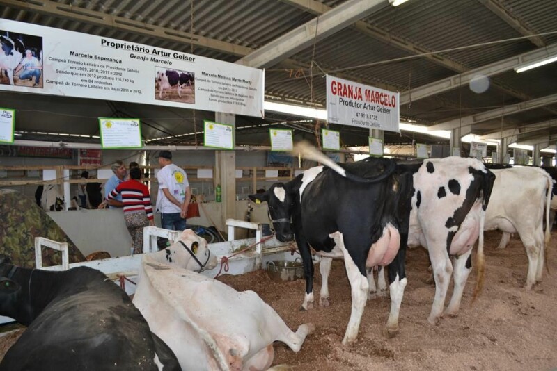 22ª Expofeira Estadual do Leite-72.jpg