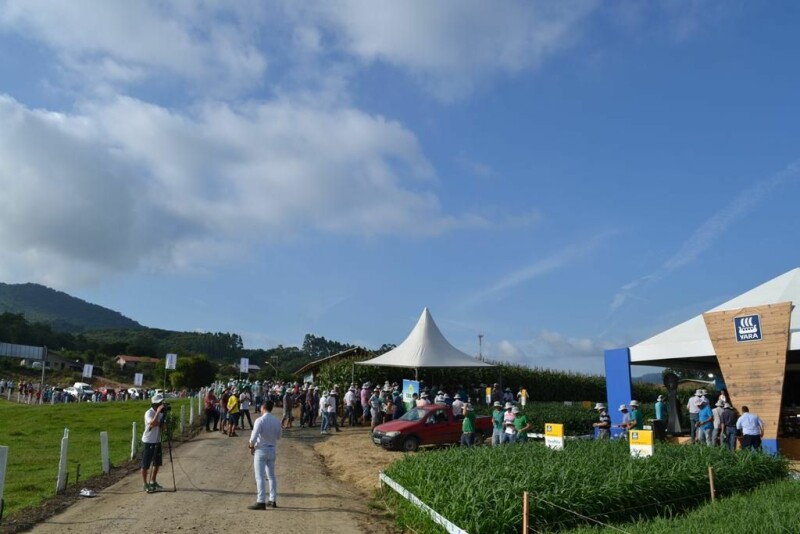 Dia de Campo Cravil reúne cerca de 2.500 pessoas-61.jpg