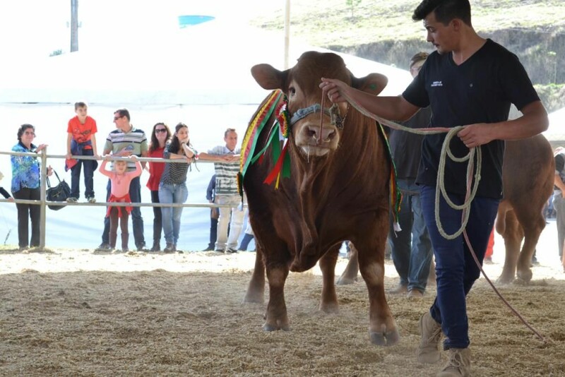 Cravil é parceira da Festa do Colono em Itajaí-22.jpg