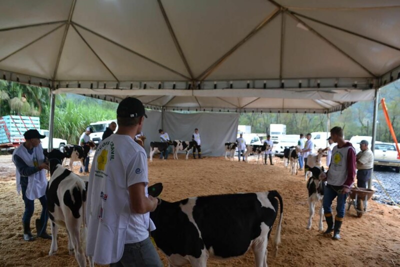 Cravil participa da 23ª Expofeira Estadual do Leite-19.jpg