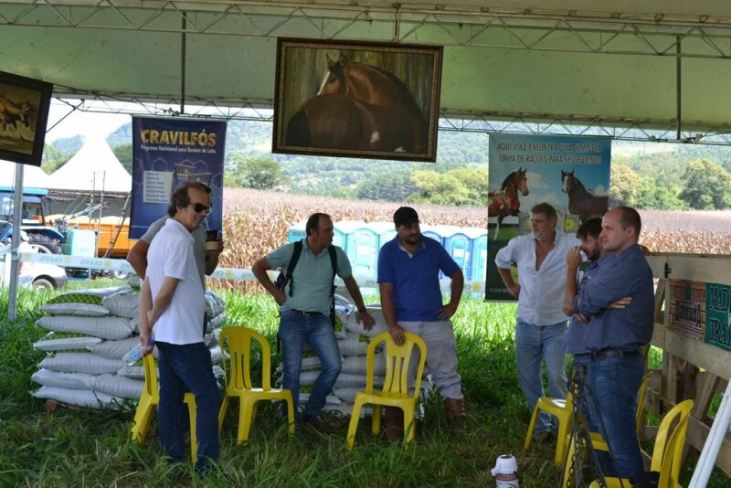 Dia de Campo Cravil reúne cerca de 2.500 pessoas-32.jpg