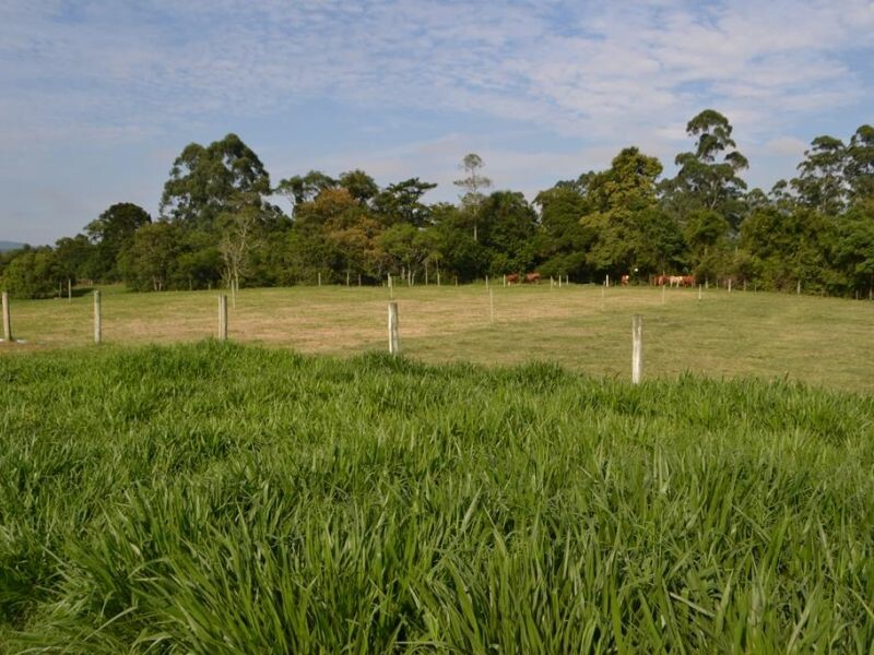 Dia de Campo Cravil acontece de 13 a 15 de fevereiro-13.jpg