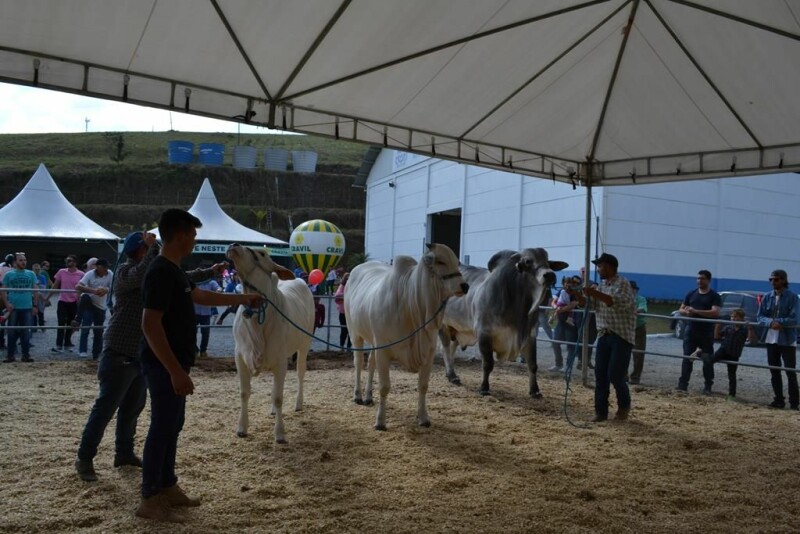 Cravil é parceira da Festa do Colono em Itajaí-13.jpg