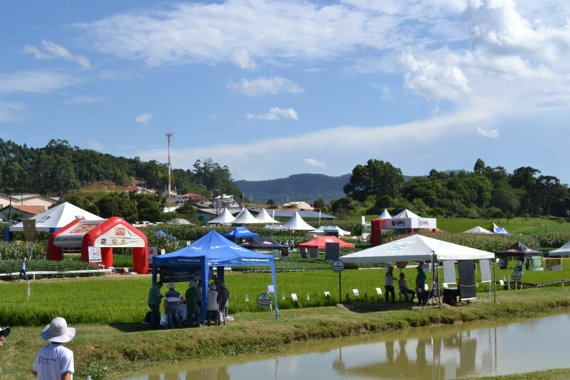 Dia de Campo Cravil reúne cerca de 2.500 pessoas-85.jpg