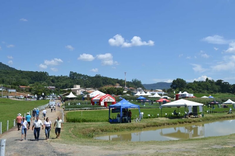 Dia de Campo Cravil reúne cerca de 2.500 pessoas-9.jpg