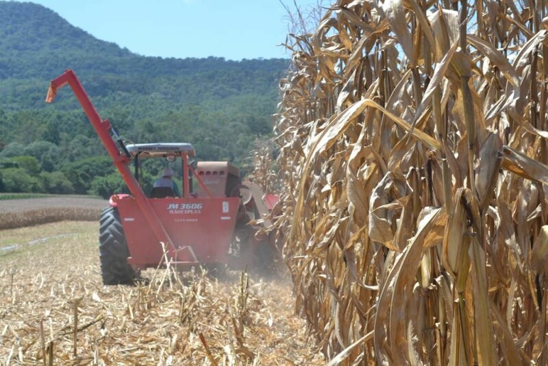 Dia de Campo Cravil reúne cerca de 2.500 pessoas-14.jpg