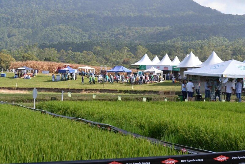 Dia de Campo Cravil reúne cerca de 2.500 pessoas-55.jpg