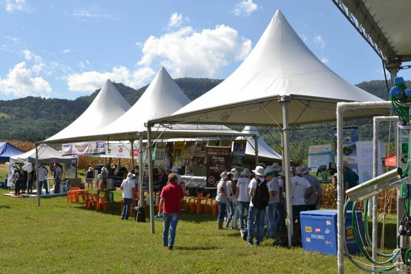 Dia de Campo Cravil reúne cerca de 2.500 pessoas-84.jpg