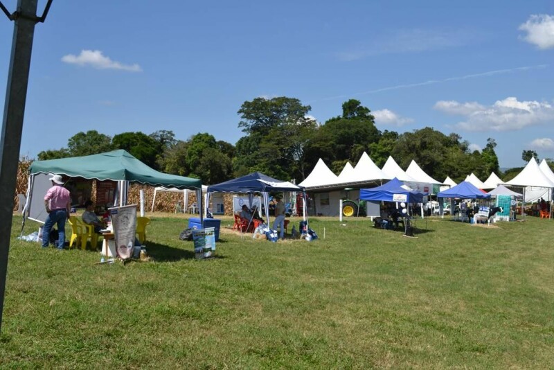 Dia de Campo Cravil reúne cerca de 2.500 pessoas-7.jpg