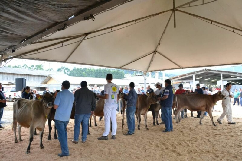 Cravil é parceira da 20ª Expofeira Estadual do Leite-73.jpg