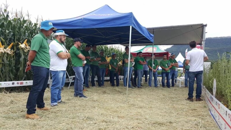 DIA 1 -  Dia de Campo Cravil -7.jpeg