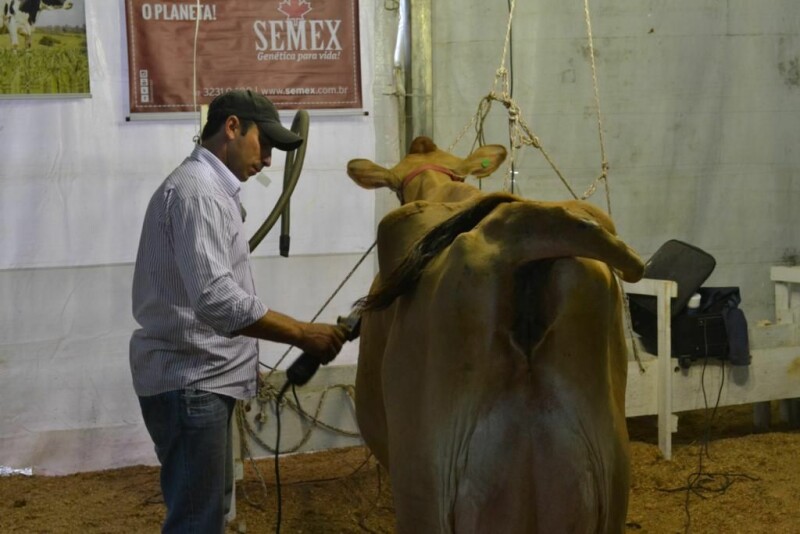 Cravil é parceira da 20ª Expofeira Estadual do Leite-64.jpg