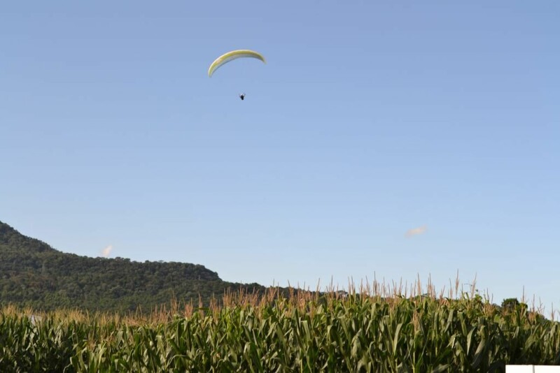 Dia de Campo Cravil reúne cerca de 2.500 pessoas-70.jpg