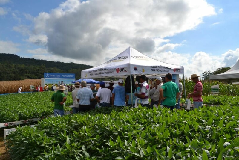 Dia de Campo Cravil-9.jpg