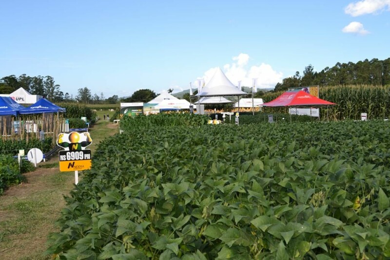 Dia de Campo Cravil reúne cerca de 2.500 pessoas-74.jpg