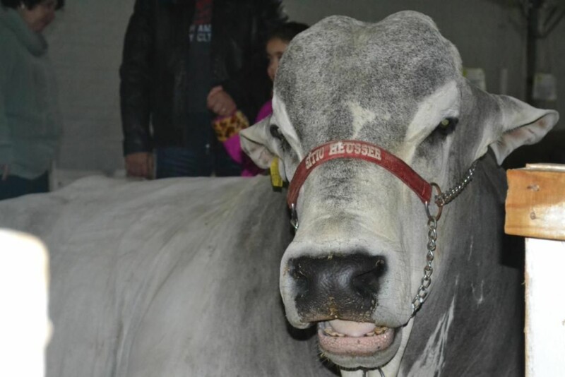 Cravil é parceira da 20ª Expofeira Estadual do Leite-43.jpg