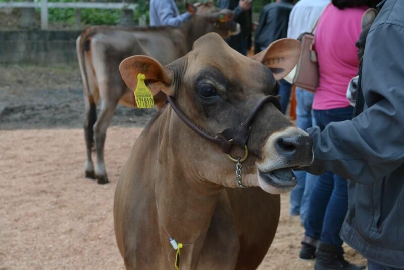Cravil é parceira da 20ª Expofeira Estadual do Leite-77.jpg