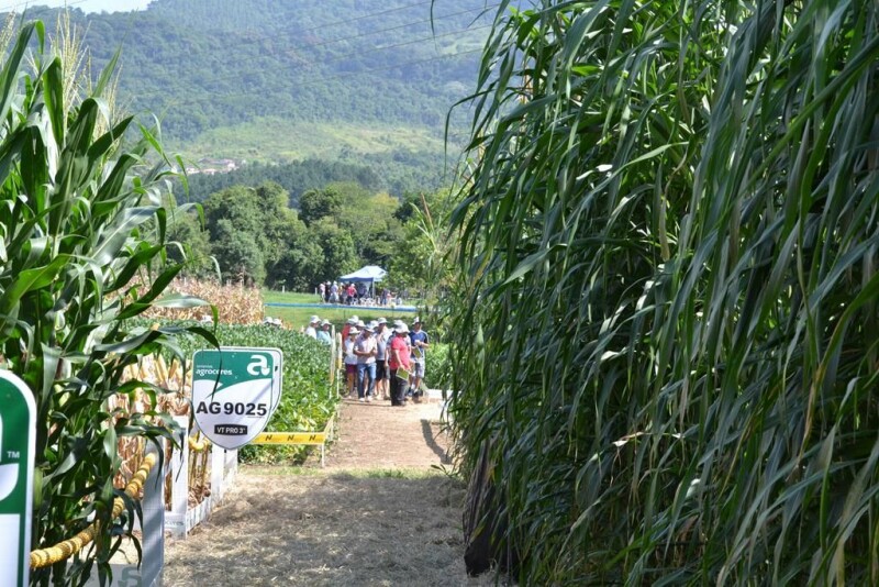 Dia de Campo Cravil reúne cerca de 2.500 pessoas-38.jpg