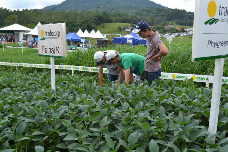 Dia de Campo Cravil-78.jpg