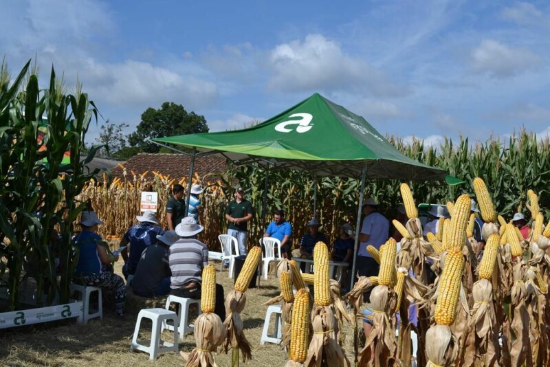 Dia de Campo Cravil reúne cerca de 2.500 pessoas-43.jpg