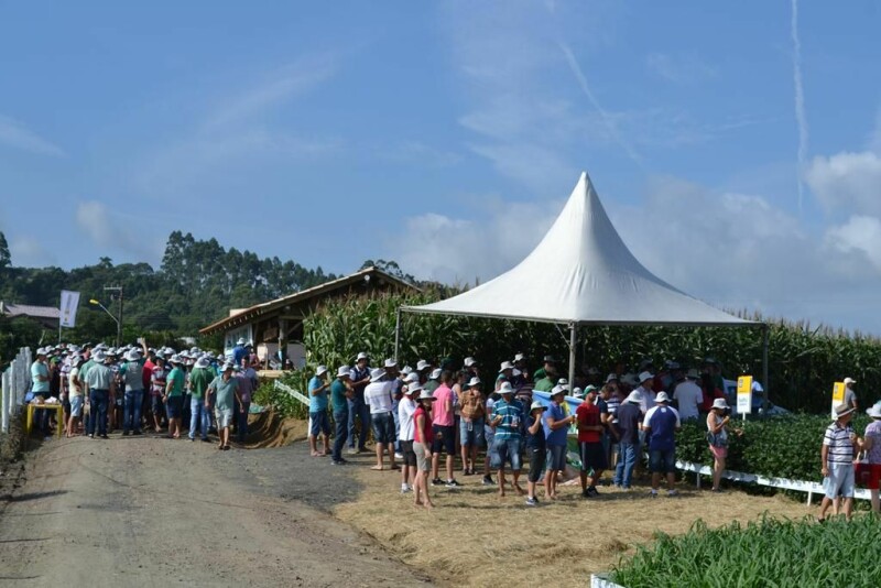 Dia de Campo Cravil reúne cerca de 2.500 pessoas-54.jpg