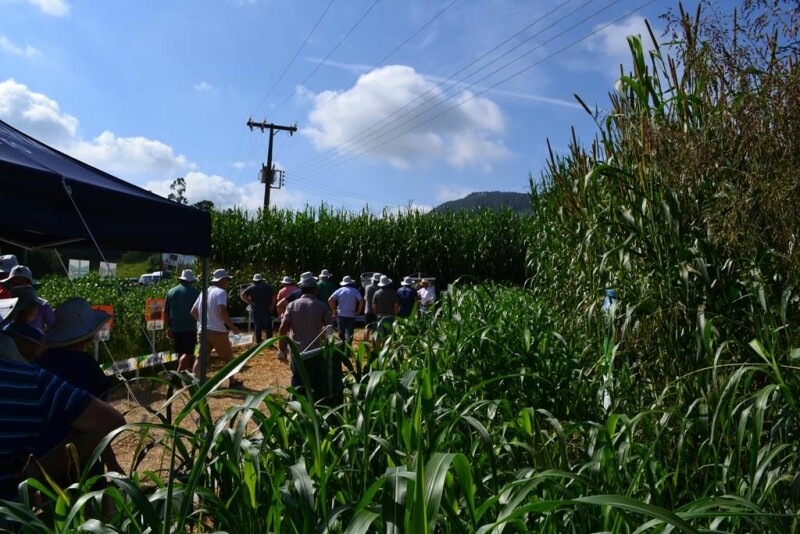 Dia de Campo Cravil reúne cerca de 2.500 pessoas-48.jpg