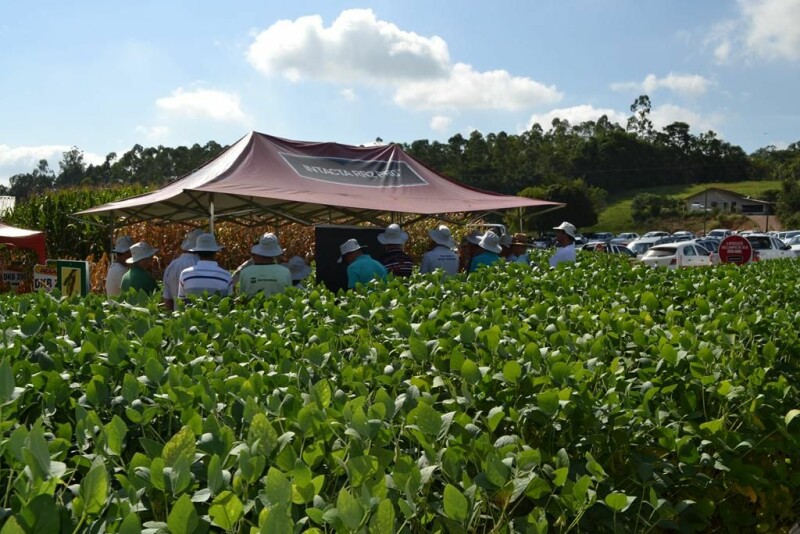 Dia de Campo Cravil reúne cerca de 2.500 pessoas-49.jpg