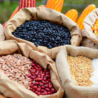 Grãos Grãos
