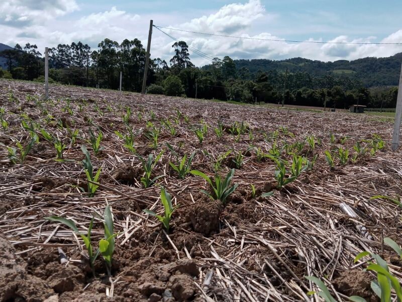 Cravil confirma Dia de Campo para os dias 16, 17 e 18 de fevereiro-4.jpeg