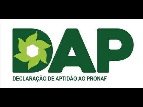 A sua DAP está em dia?