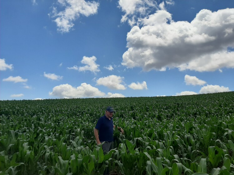 Segundo pesquisa, agricultor brasileiro adota práticas mais sustentáveis que outros