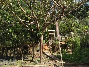 Casa à venda no bairro Costeira Da Armação - Governador C