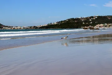 Praia de Bombas