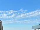 e0bfad25-ec91-404f-8d13-43f926fa5003.jpeg