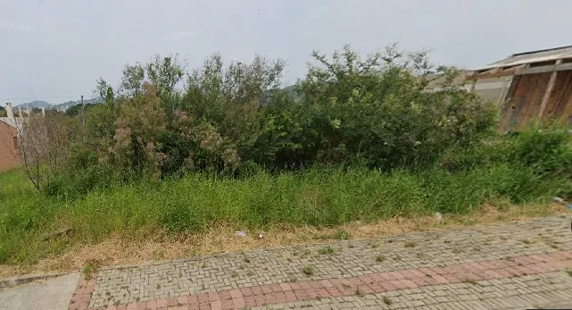 V299.jpg