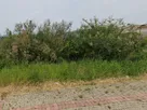 V299.jpg