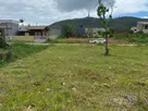 Terreno venda  Rua rio capivari Zimbros  (13).jpeg