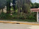 Terreno a Venda Martin Pescador Bombinhas Sueli 2