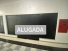33.jpeg