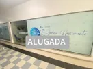 11.jpeg