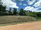 IMG-20250110-WA0002.jpg