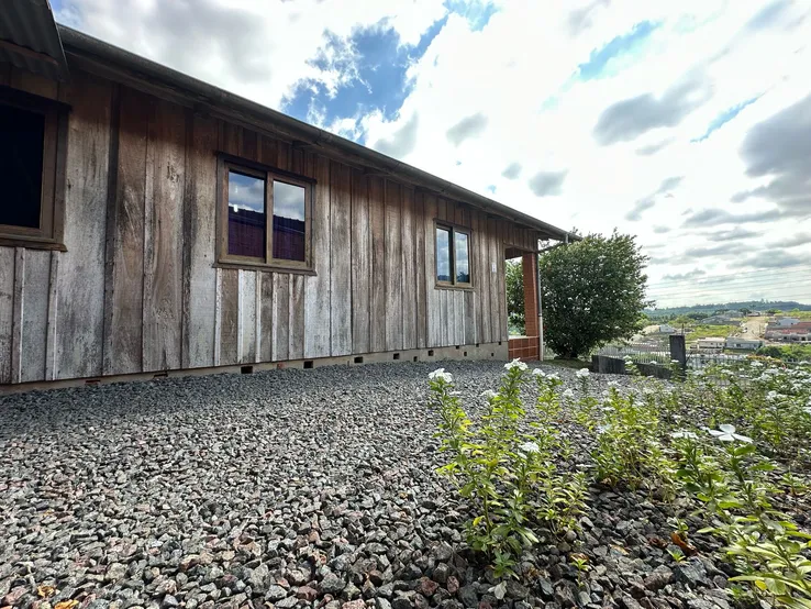 IMG-20250217-WA0010.jpg IMG-20250217-WA0010.jpg