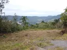 IMG-20250718-WA0045.jpg