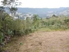 IMG-20250718-WA0046.jpg