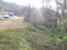 IMG-20250718-WA0056.jpg